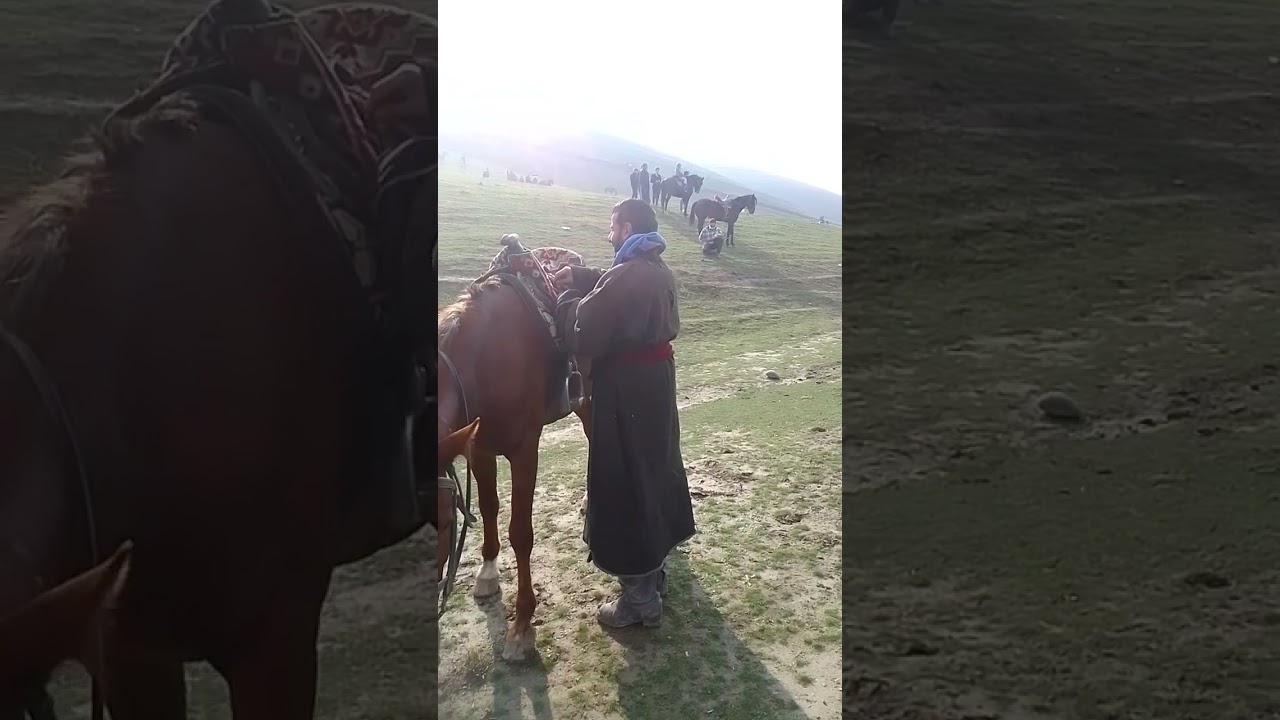 Умар човандози  Шаймири бо чакманаш