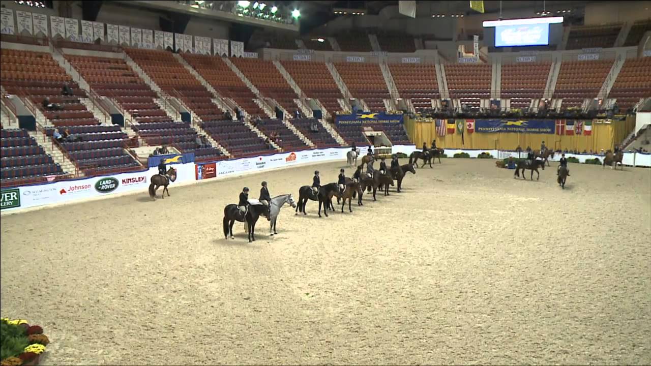 Class 111   Amateur Owner Hunter Under Saddle 18 35