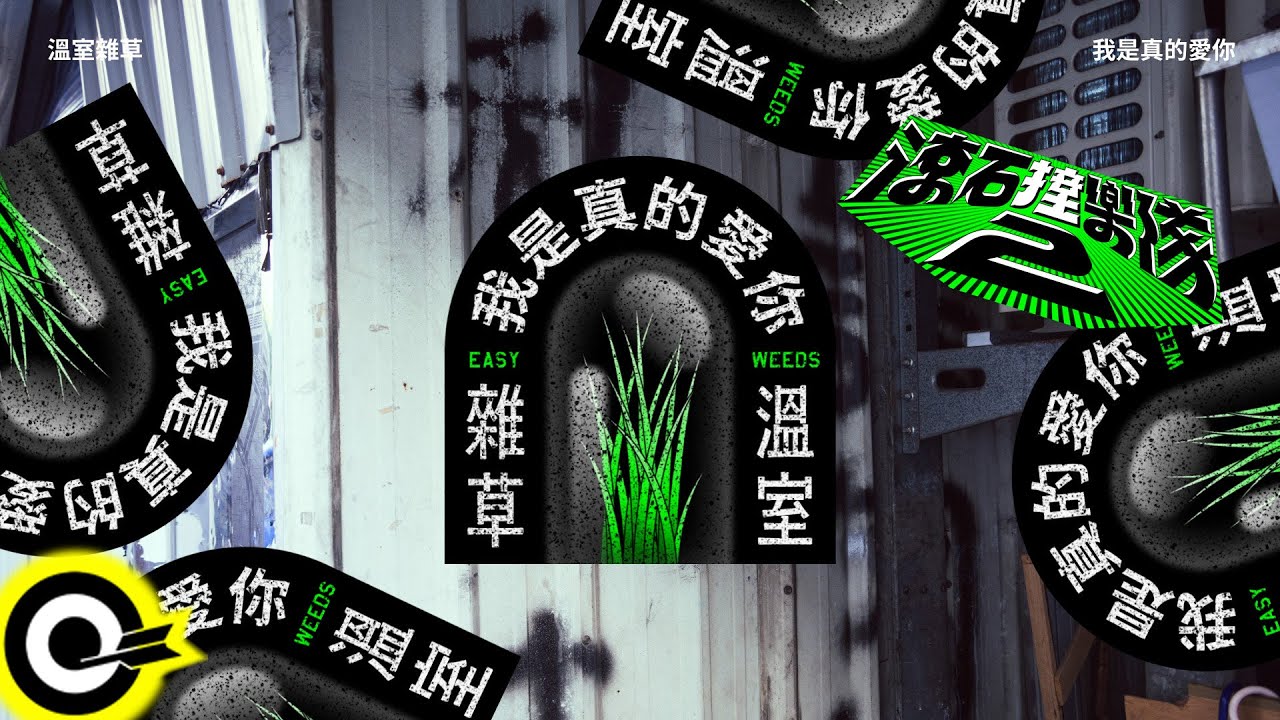 溫室雜草 Easy Weeds【我是真的愛你 I do love you】歌詞版MV Lyrics Video
