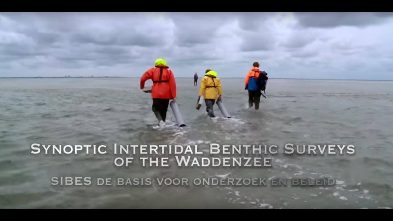NIOZ SIBES De Basis voor Onderzoek en Beleid 2013