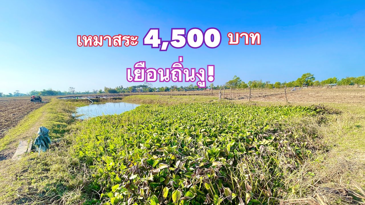 เหมาสระ