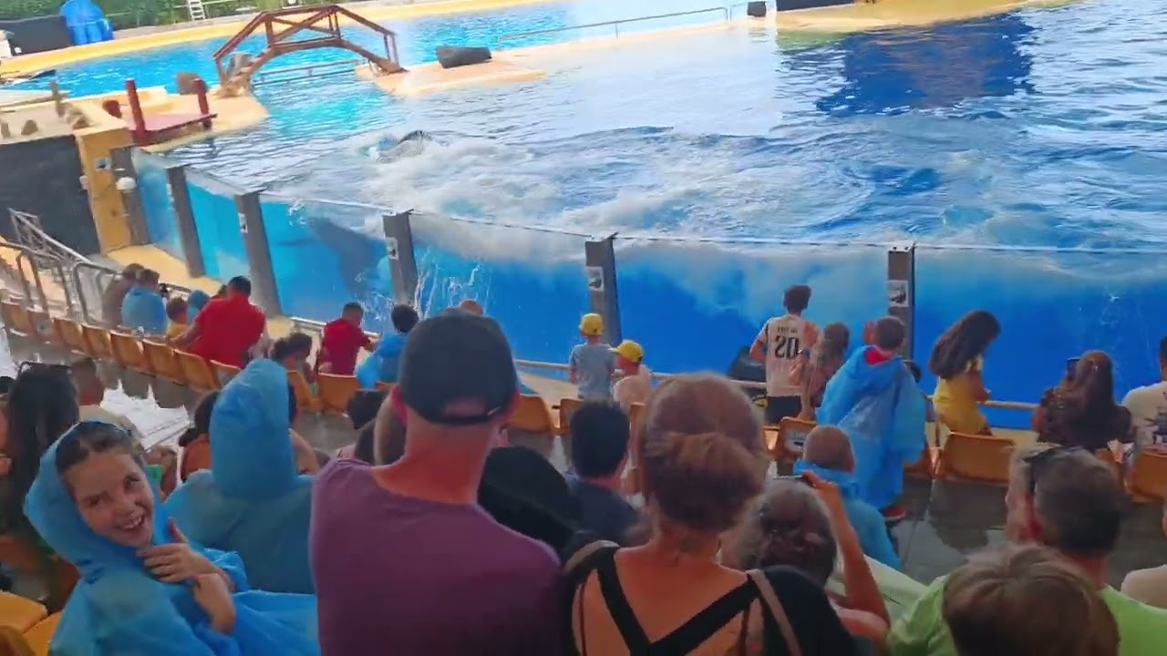 orcas Loro Parque 2024