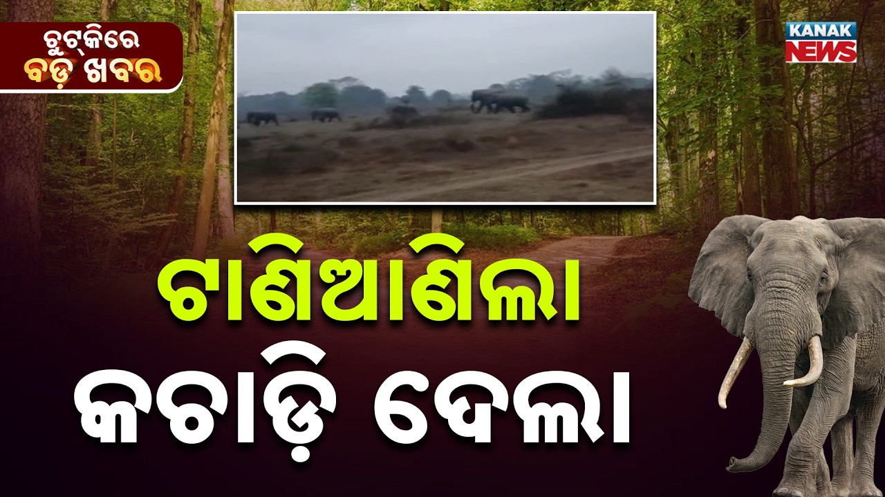 Chutkire Bada Khabar || 26th February 2026 || 4PM Digital Bulletin || Kanak News