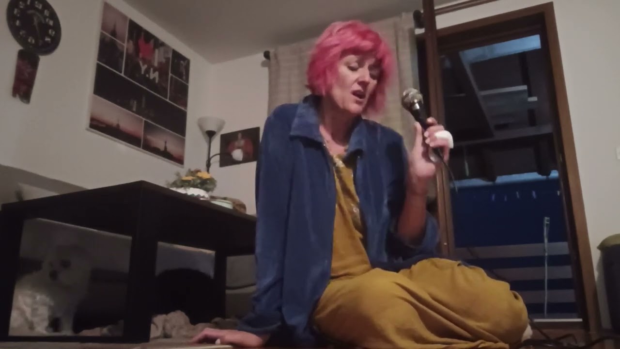 House Of The Rising Sun (The Animals) - cover