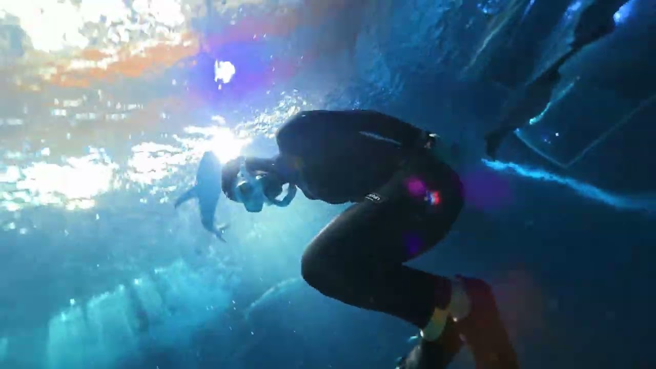 Vlog 제주 아쿠아리움 단독 프리다이빙 - 안쌤 프리다이브의 제주 프리다이빙 (AnSam Freedive)