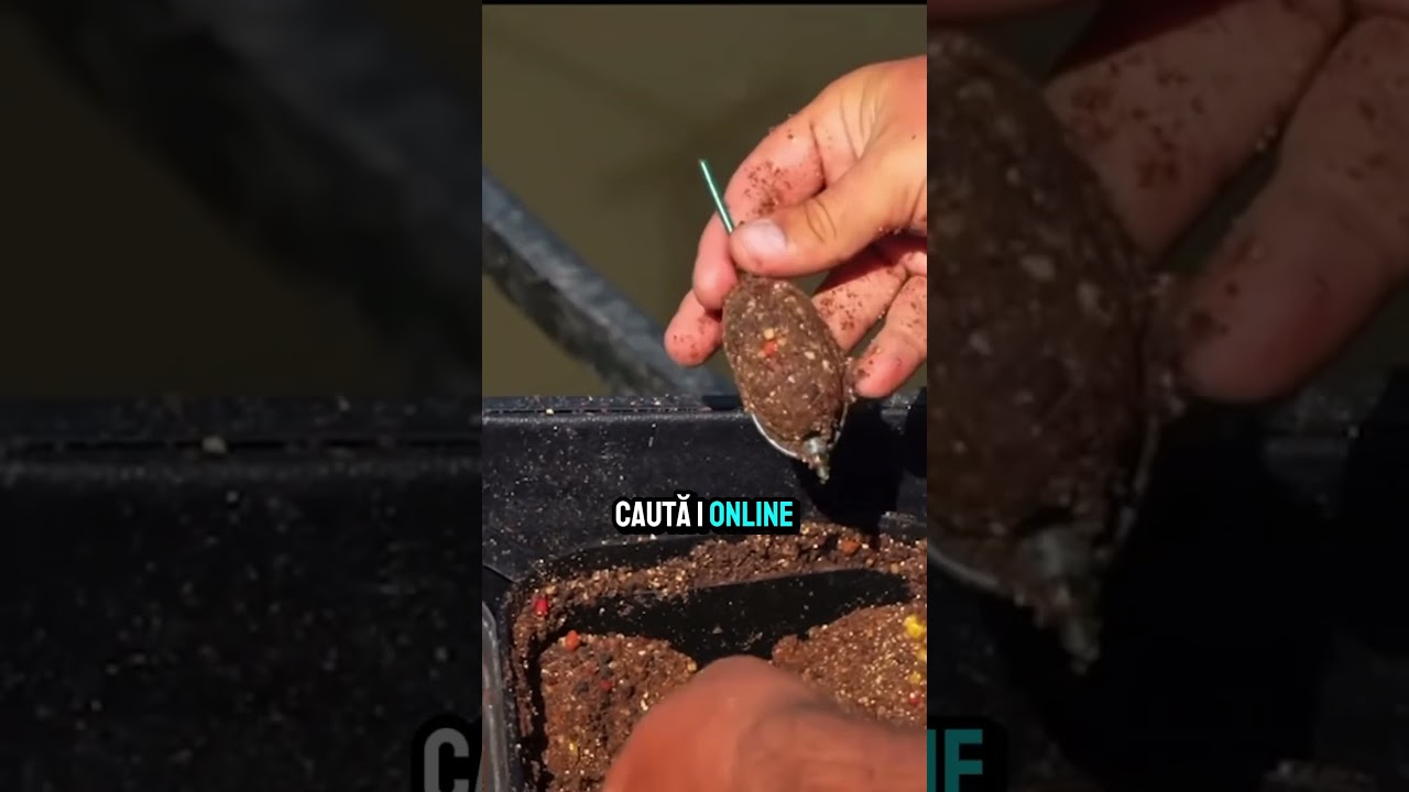 Secretele pescuitului la Feeder !