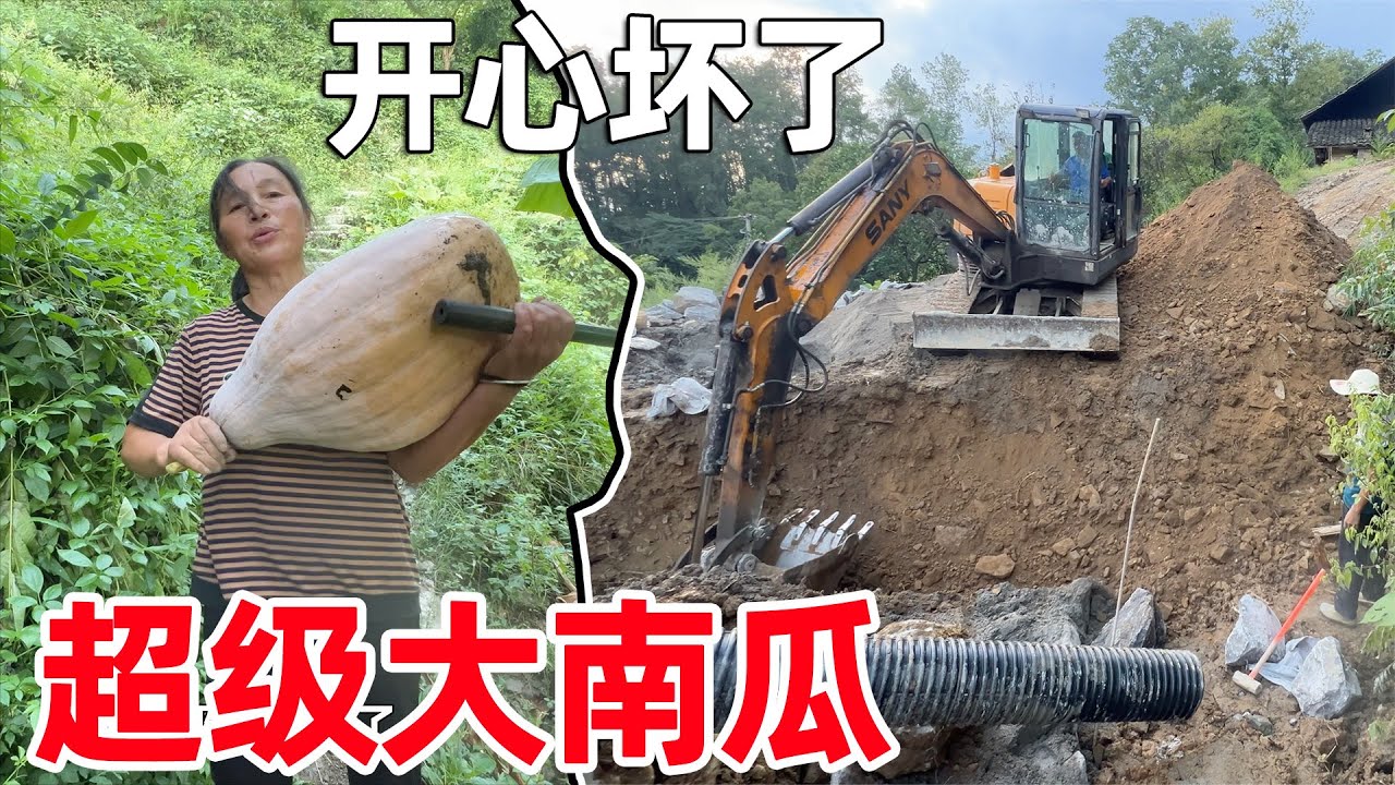 等山里的路修通后就可以把菜拉到街上卖钱了，今年的南瓜大丰收，一个人都扛不动