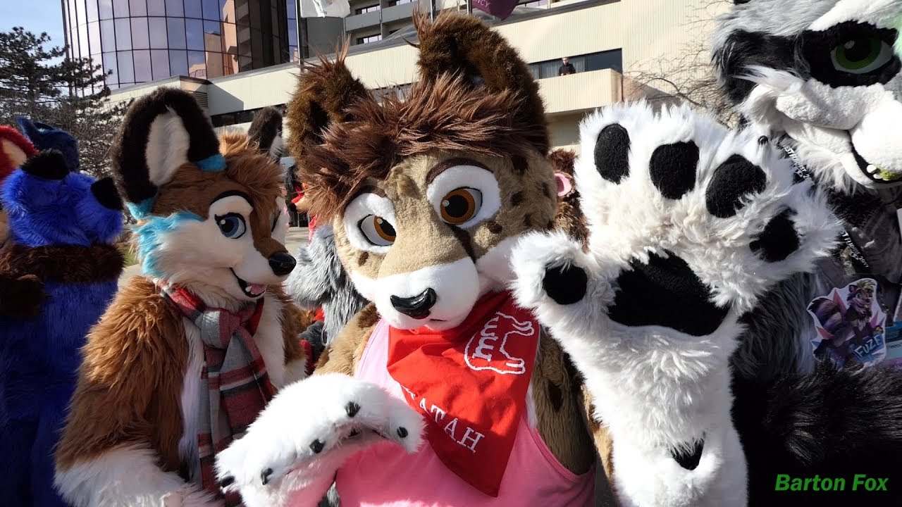 Midwest FurFest 2017 — случайные клипы