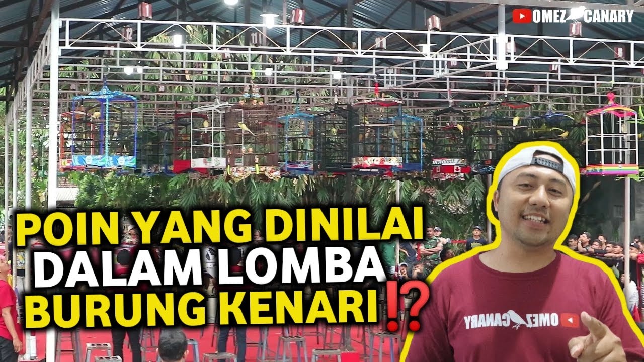 4 POIN YG DINILAI DI LOMBA BURUNG KENARI‼️PEMULA WAJIB TAU