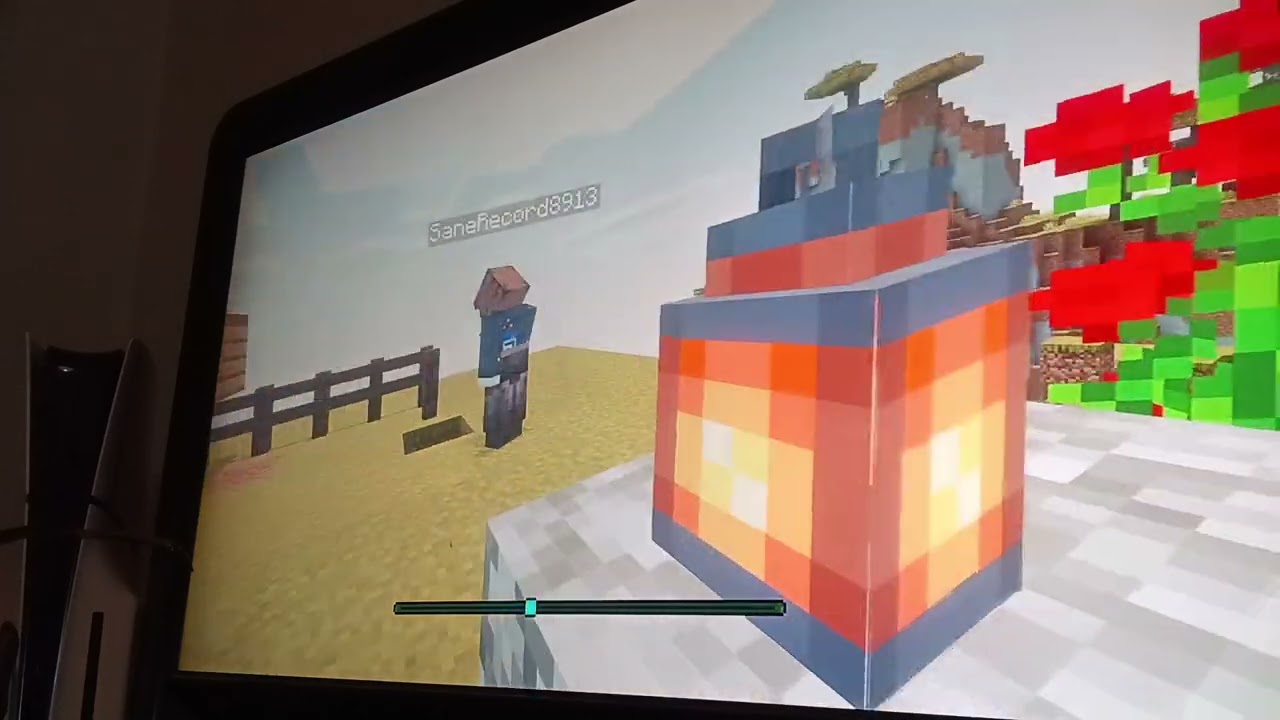 Playing mincraft