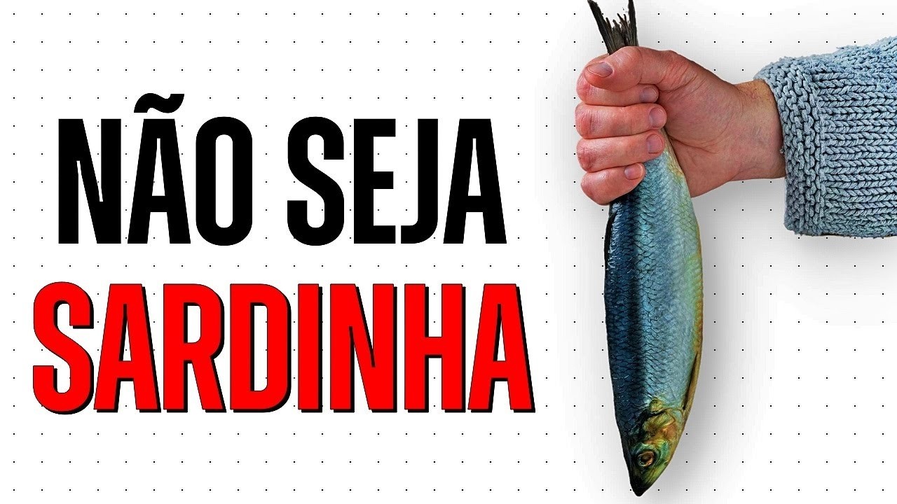Não Seja Sardinha: O Que Fazer Quando o Mercado Está Todo Subindo