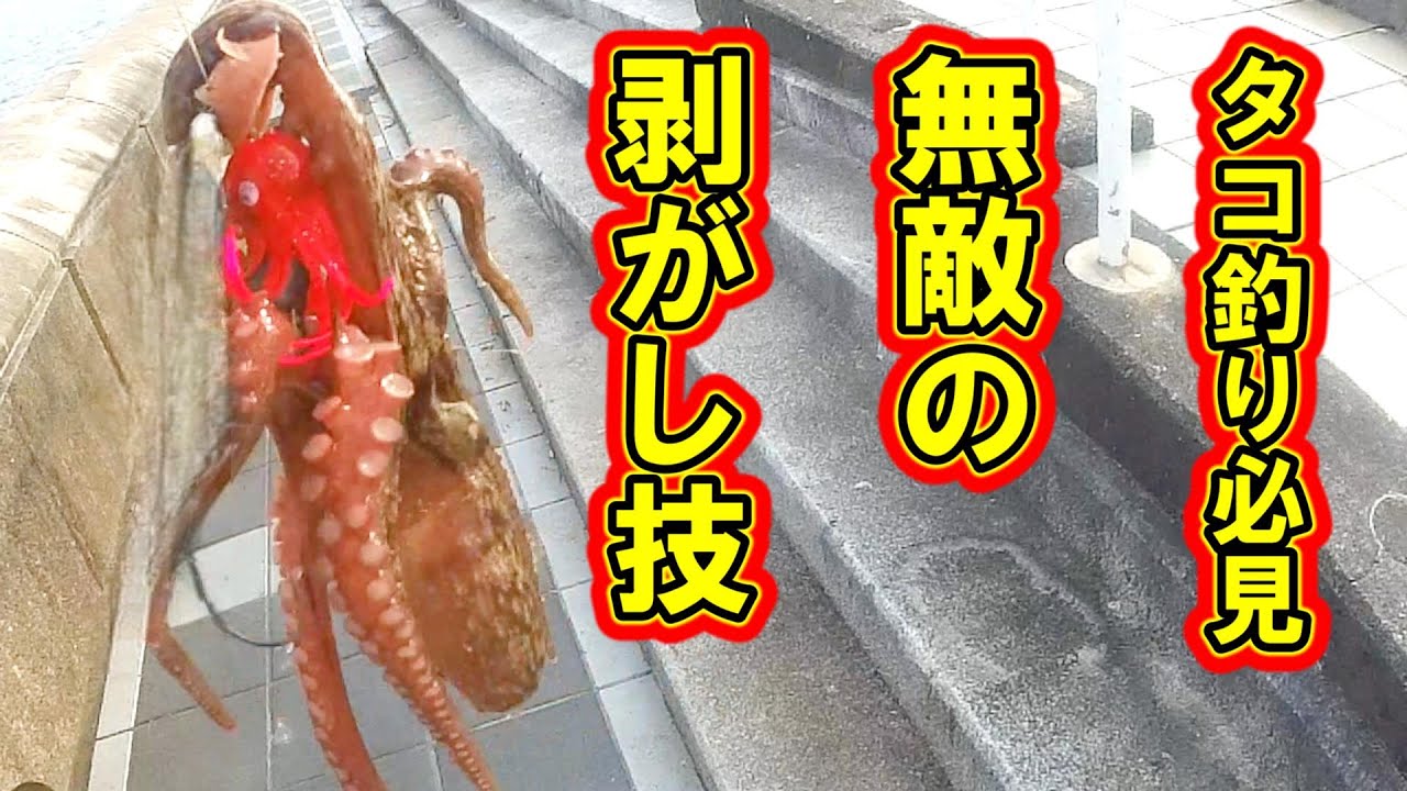 【タコ釣り】絶対に釣り上げる為の対処法バージョンアップ！必見【つりまぐ式】