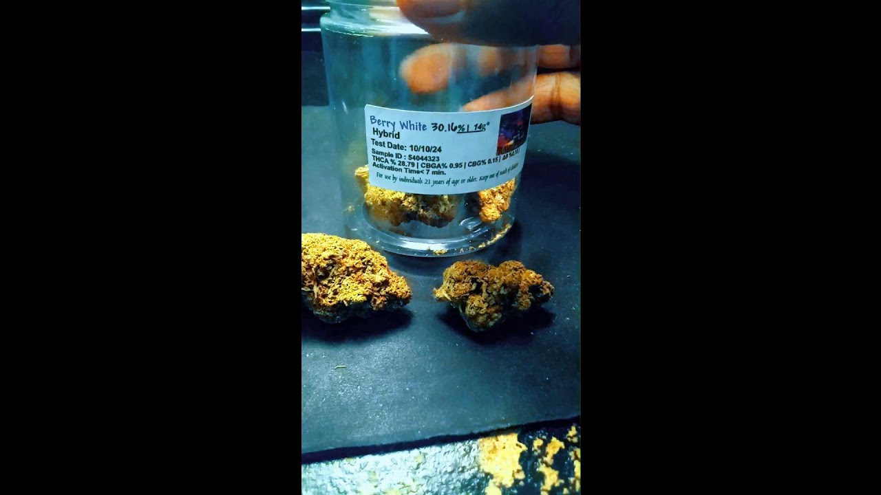 Blaze Session Review Of Berry White THCA Flower From Flame Train CBD