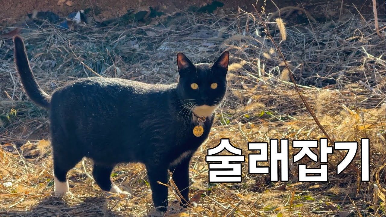 잡히기 싫은 날