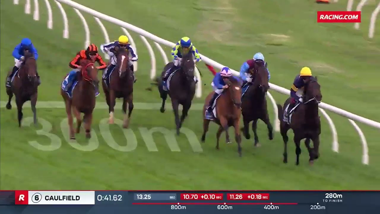 Chairman's Stakes 2026 - BIG SKY (2YO SWP G3) Группа 3, Колфилд, 31 января
