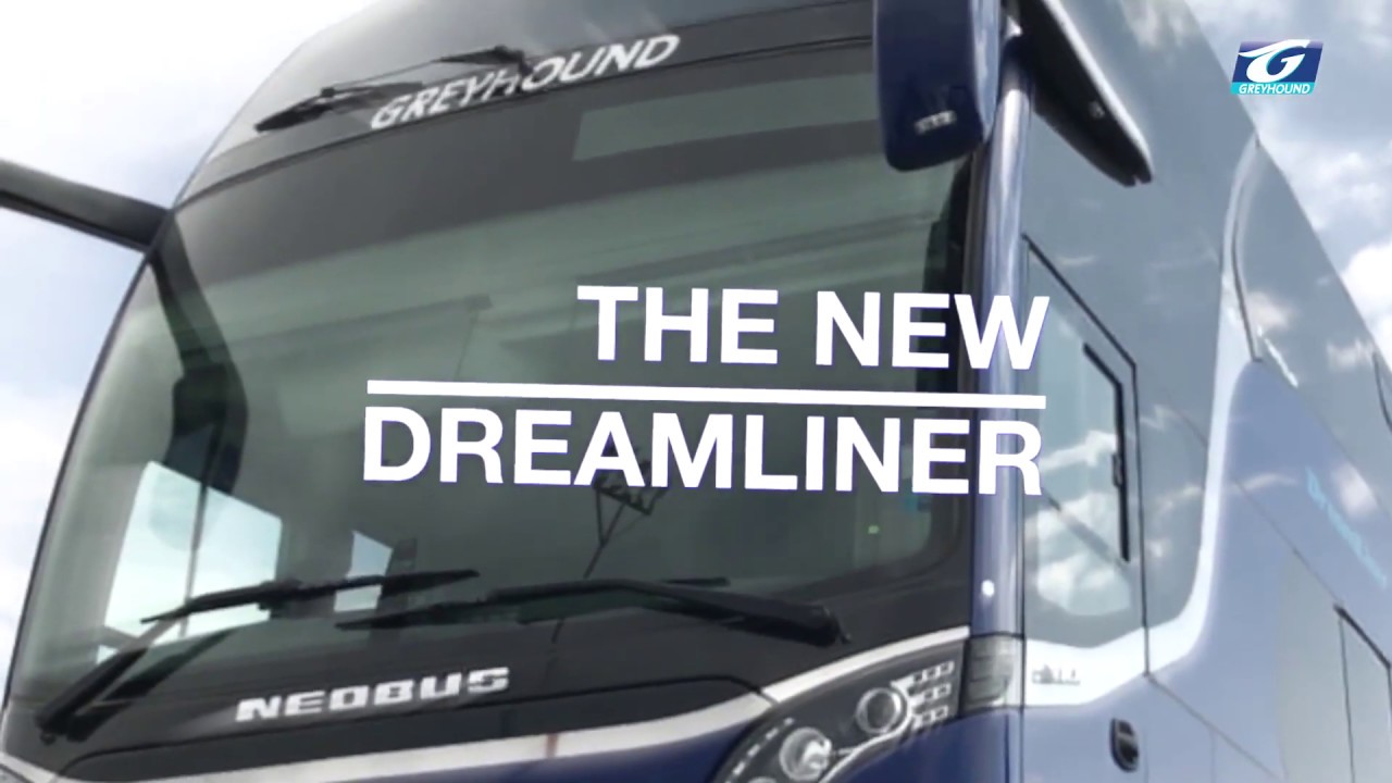 Greyhound Dreamliner