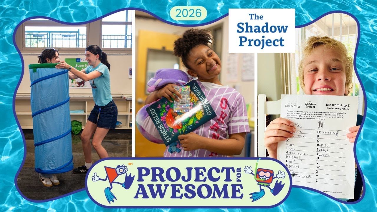 The Shadow Project - P4A 2026