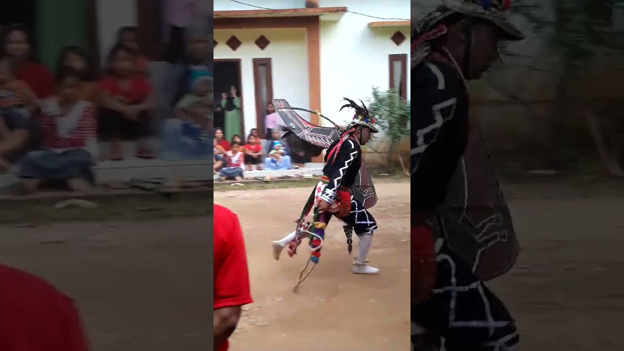 Benturan Energi Gaib, Kridho Budoyo, Podorejo, Pringsewu, Lampung#shotrs