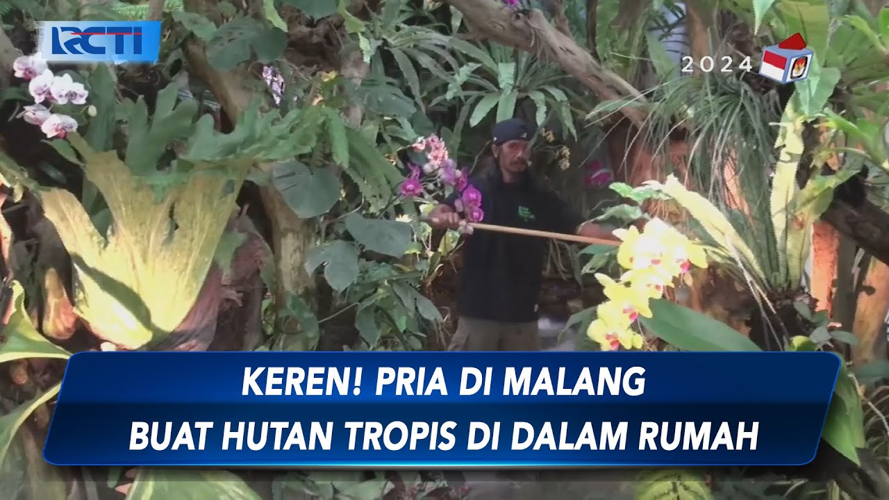 Pria di Malang Butuh 1 Tahun Ciptakan Hutan Tropis di Dalam Rumah - SIP 28/11