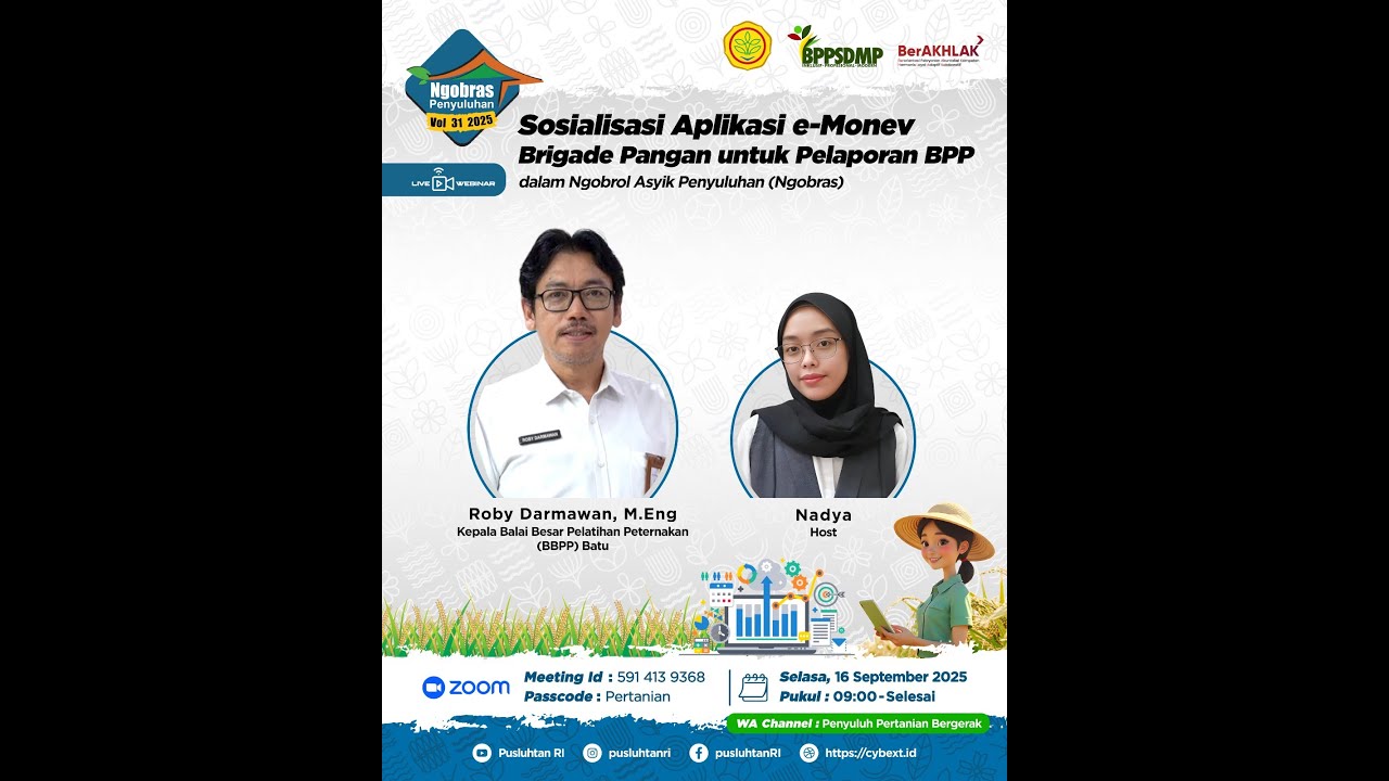NGOBRAS Volume 31
