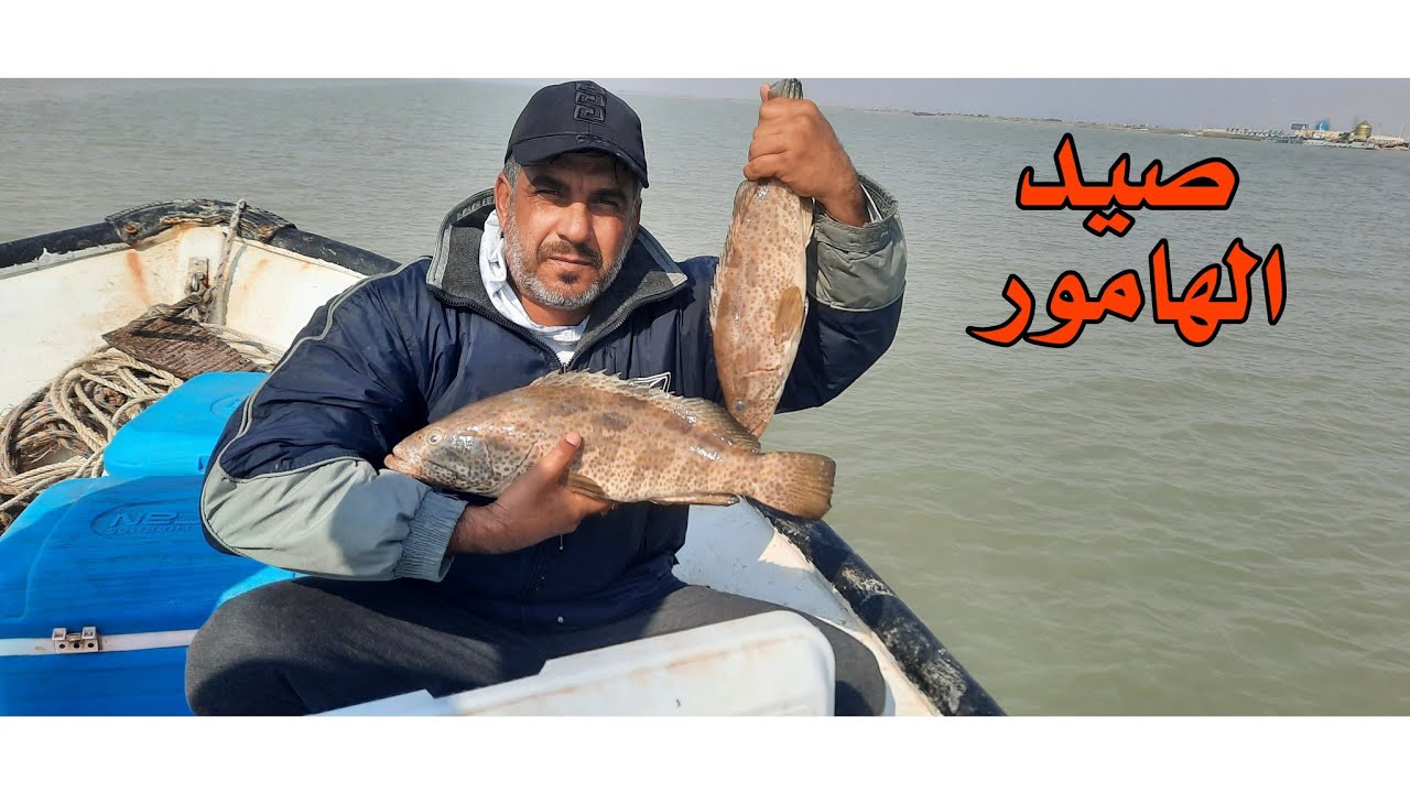 شاهد متعة صيد الهامور في بحر الخليج العربي/#قيصر_الصياد