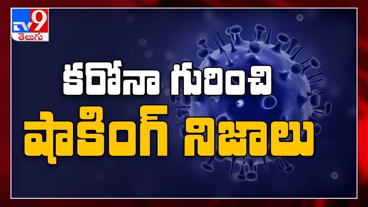 What is coronavirus: how did it start and what is the mortality rate? - TV9