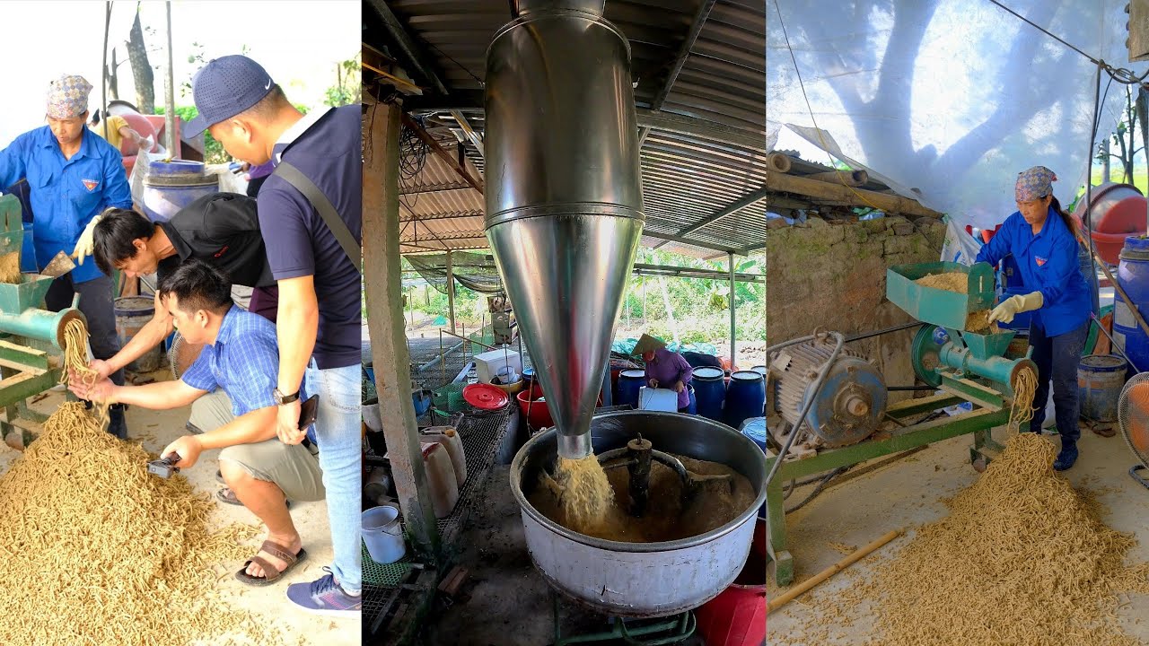 Hướng dẫn tự làm phối trộn cám Phần 1: Nguyên liệu