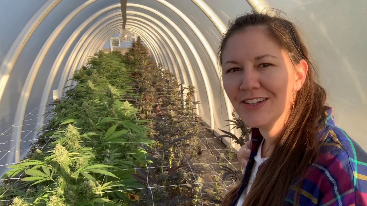 We&rsquo;re Back! Join our Farm Tour where you can see what it&rsquo;s like being a cannabis farmer in Oklahoma