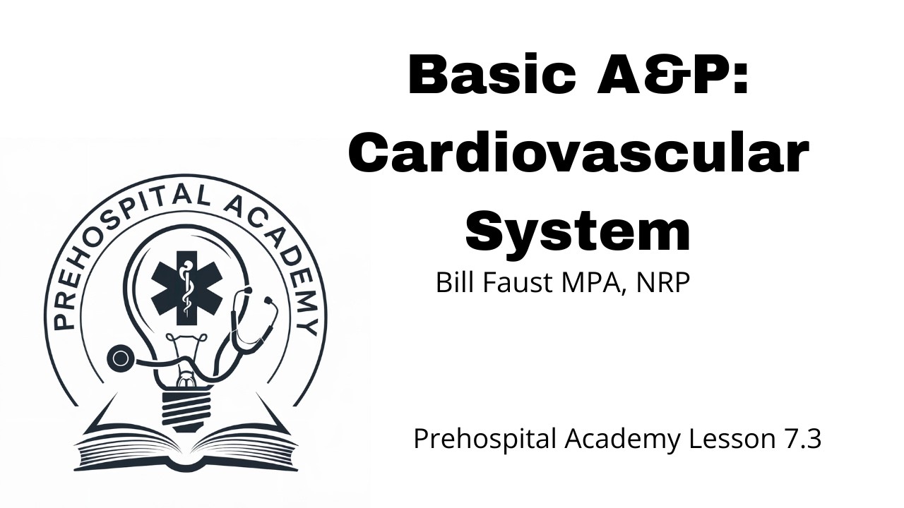 AP Circulatory System
