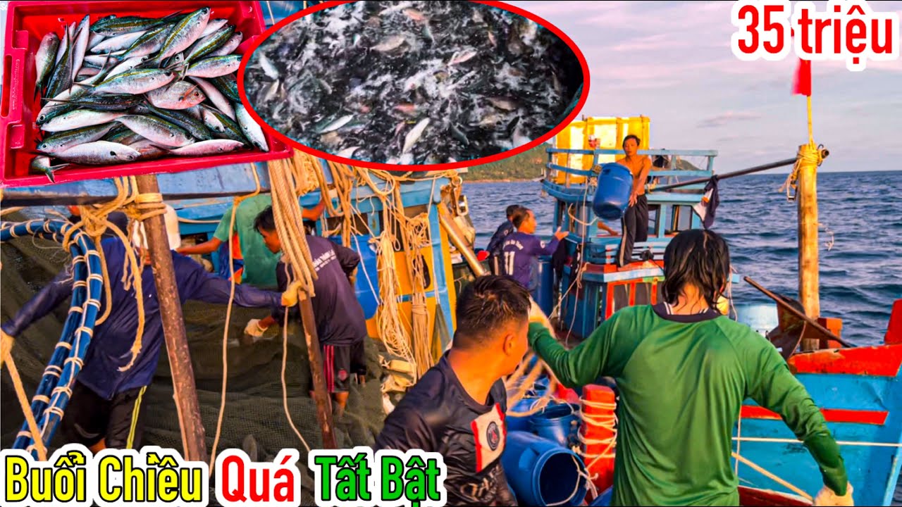 Lưới Bao Rạn 11 | V&aacute;c Lưới &ldquo;Tất Bật&rdquo; Tại Điểm &ldquo;Mủi Đ&egrave;n&rdquo; | Kiếm 35 Triệu 1 V&aacute;c Lưới | Sơn Ph&uacute; Quốc
