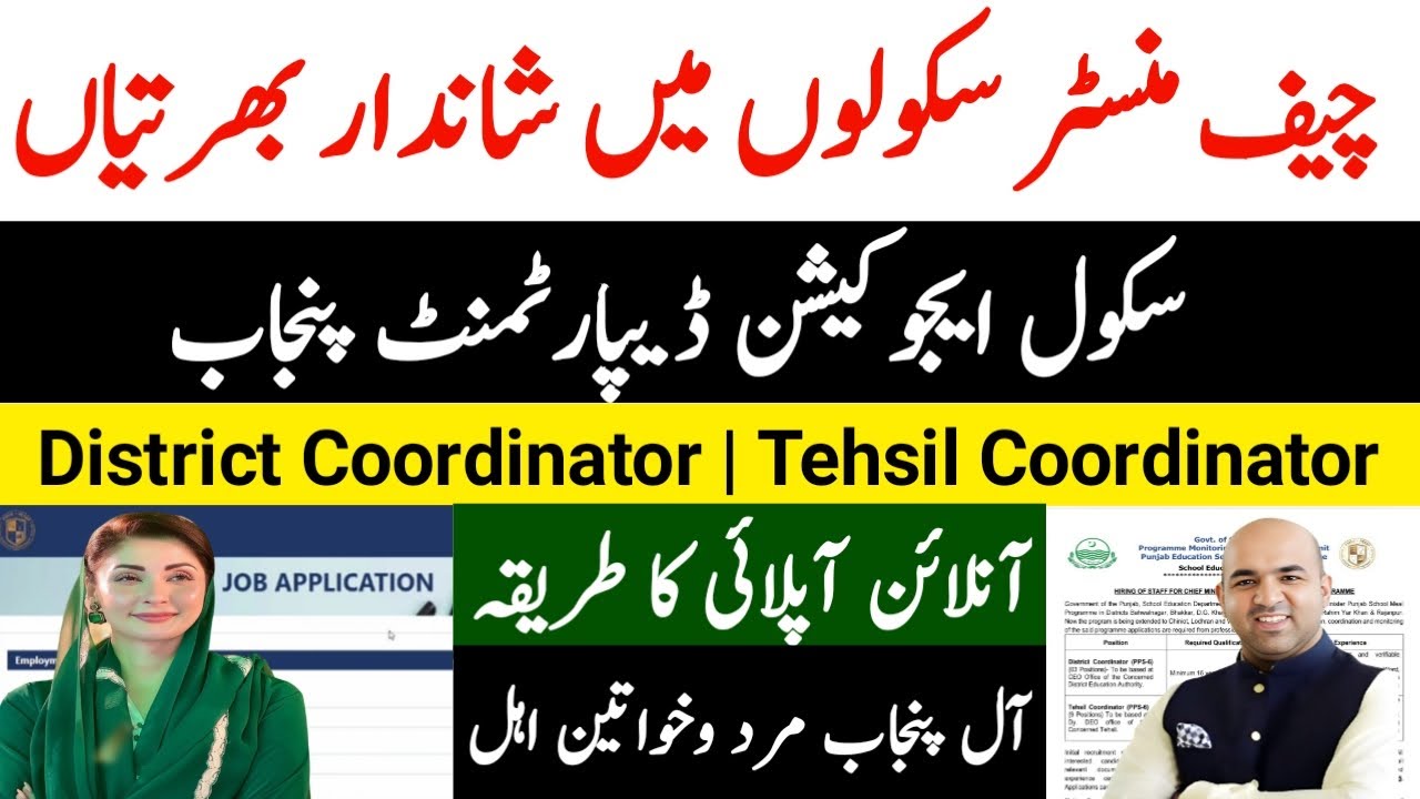 School Education Department Jobs 2025 | School Education Department Punjab Jobs 2025 | Online Apply