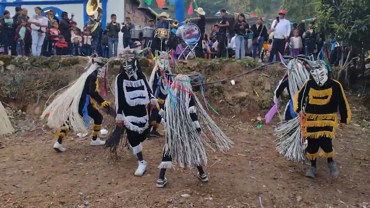 Ahí está un vídeo de la fiesta del 16 de octubre del año 2025 en zizintitlan en barrio de zapoijtic