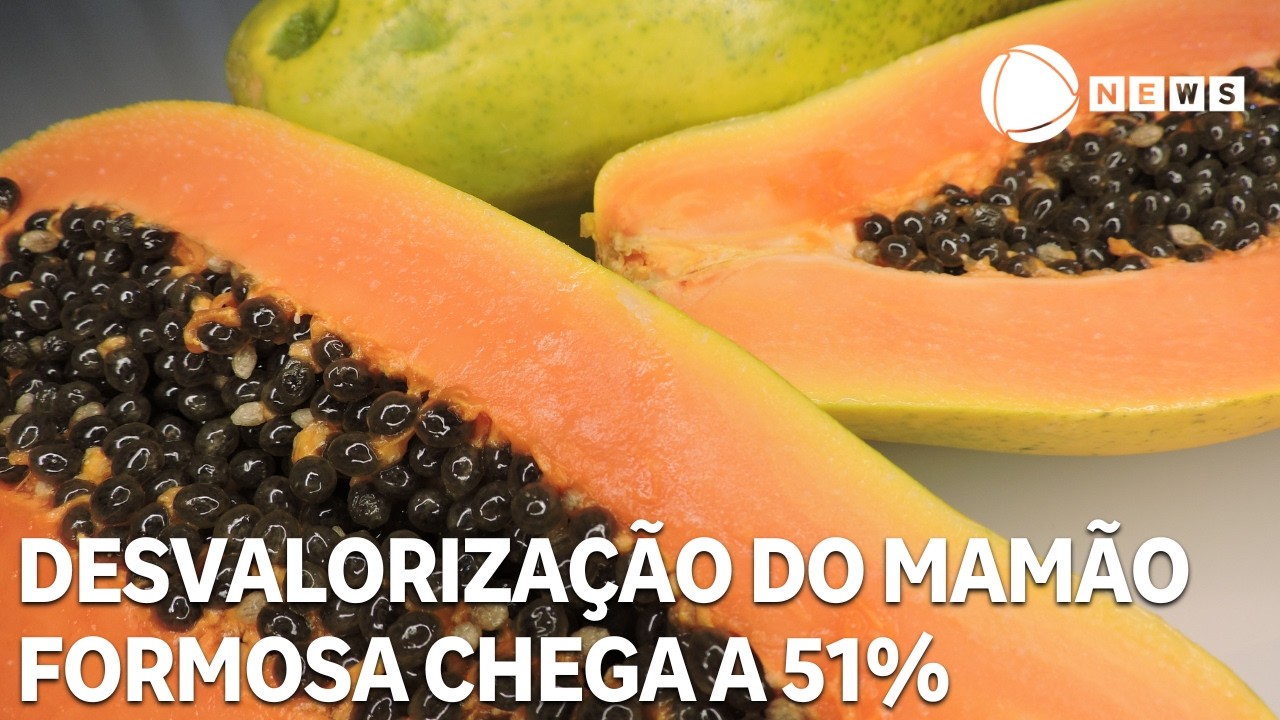 Desvalorização do mamão formosa chega a 51% em janeiro