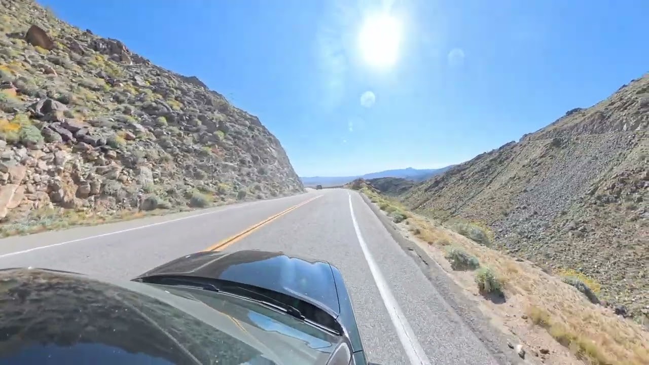 ANZA BORRREGO TRIP