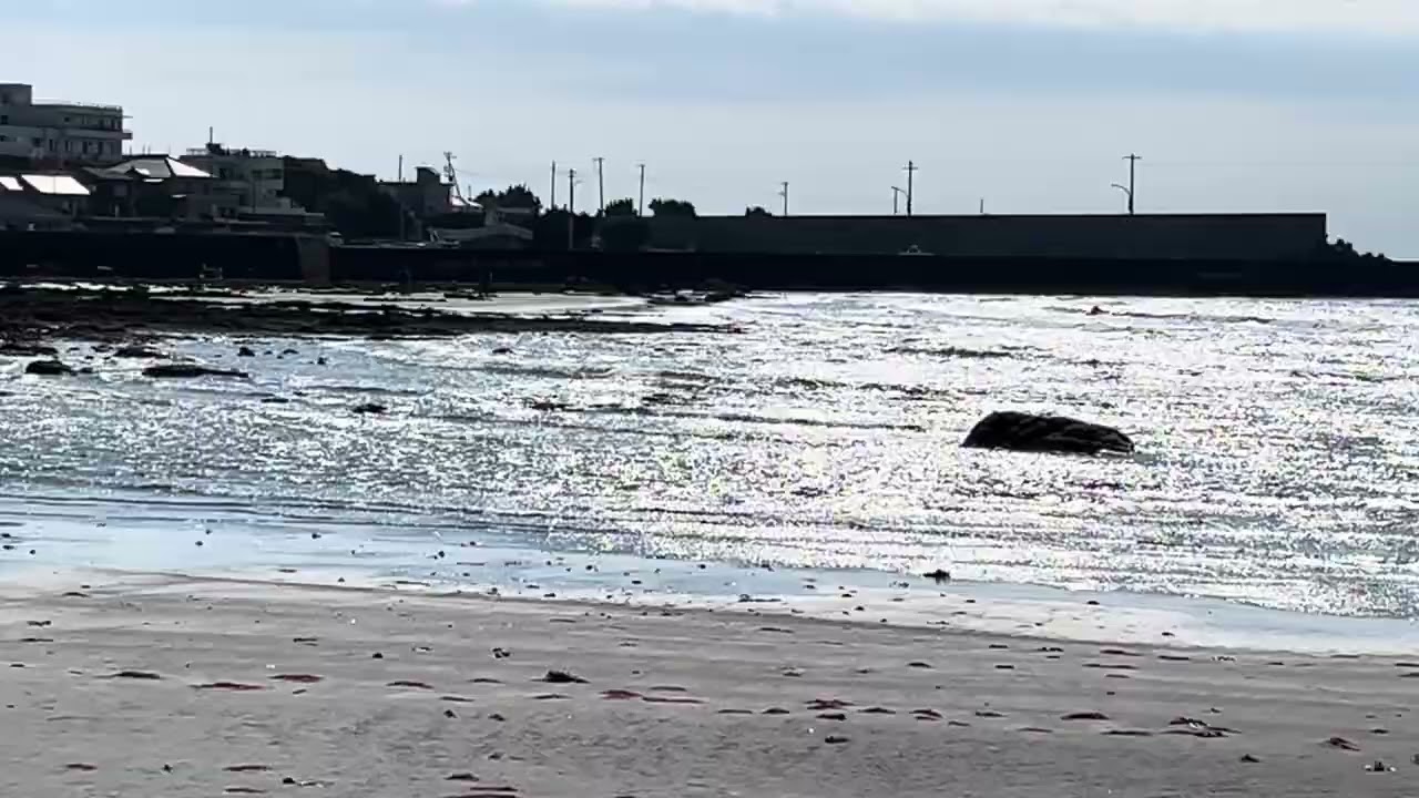 相浜　20260222