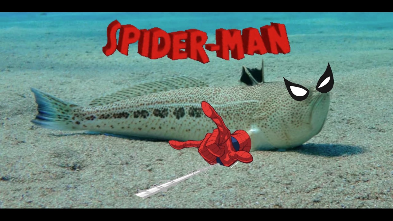 Spider-Man la pelicula!!