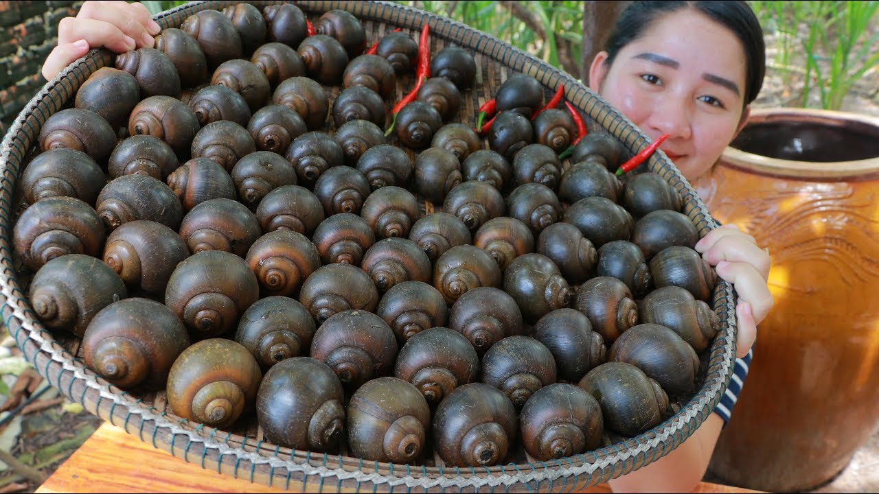 Tasty Cooking River Snail - Cooking With Sros