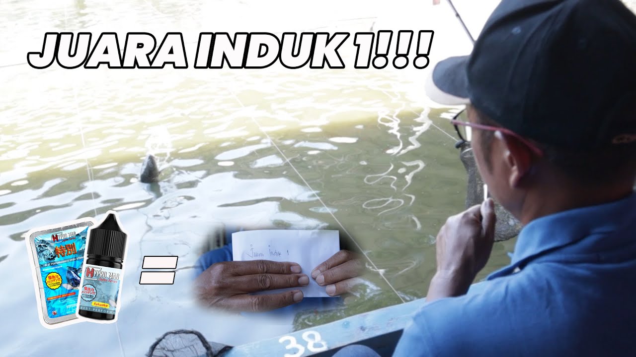 TEST UMPAN PUTIH DAN ESSEN | HASILNYA JUARA INDUK 1