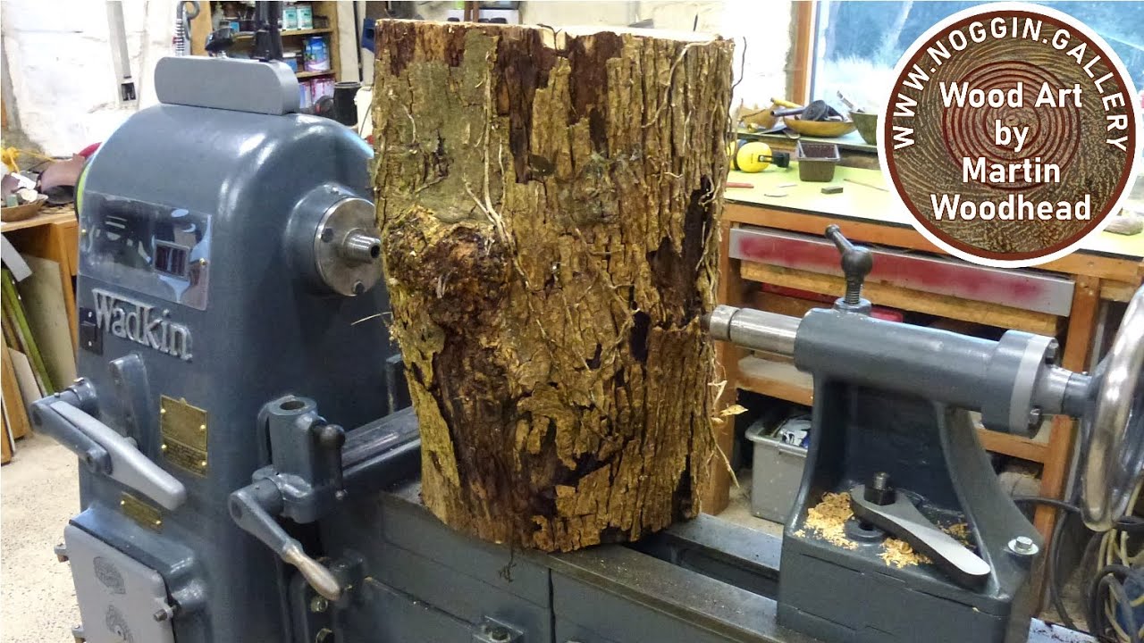 Woodturning - SPALTED ELM VASE