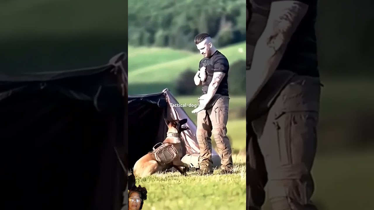 #tactical #dog #training #k9 #military #dogtraining #k9protection #police #workingk9 #doglover