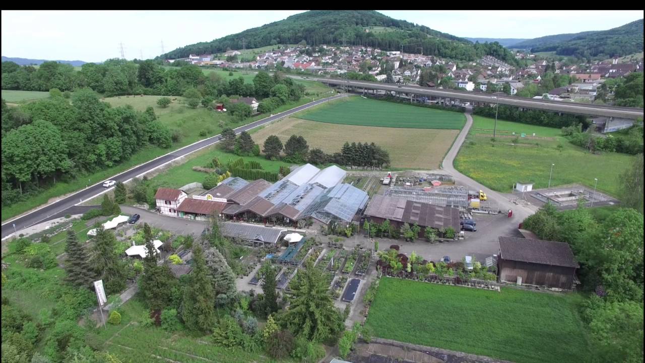 Gartencenter Zeiningen #1