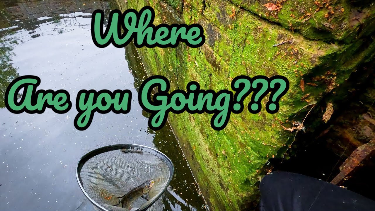 Nano Jigging in UK Canal & Dangerous Chub!