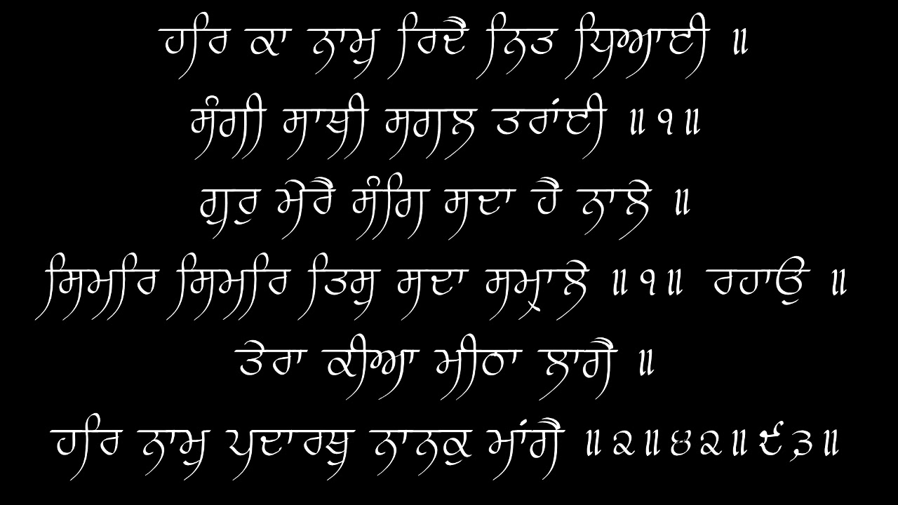 Tera Kiya Meetha Laage - Bhai Raghbir Singh (Zakhmi) - November 1990 - Live Houston