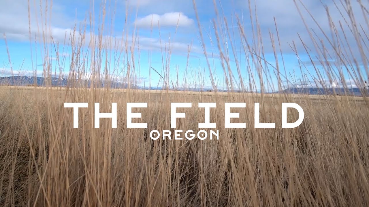 The Fields in La Grande, Oregon