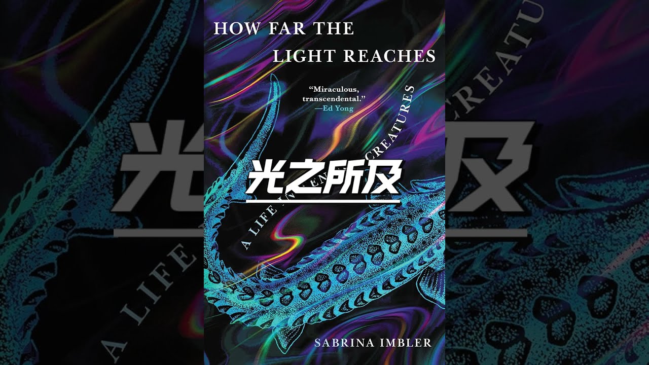 光之所及