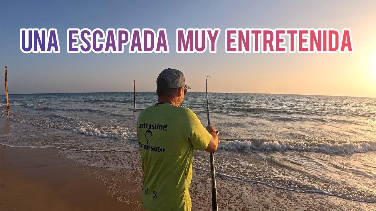 🔥‼️SURFCASTING EN CAMPOSOTO ‼️🔥Una escapada muy distraída con varias capturas y suelta 🫂🎣🤙🏼