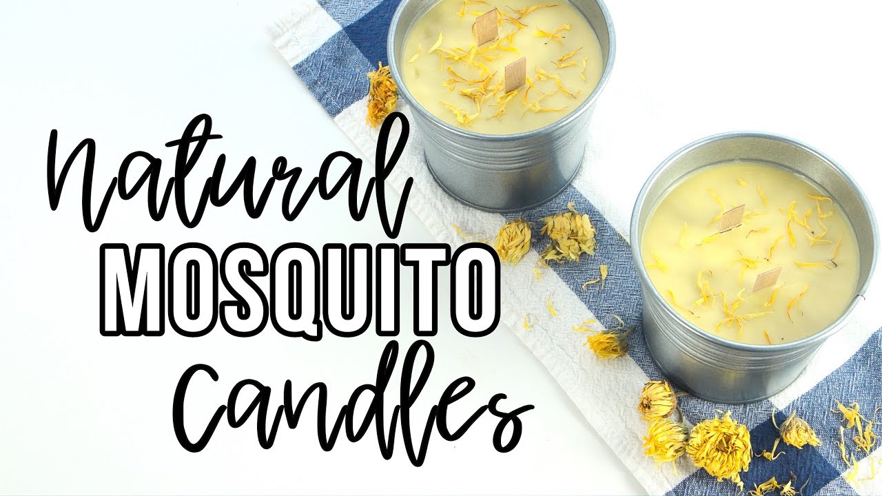 How to Make Natural Mosquito Candles with Essential Oils
