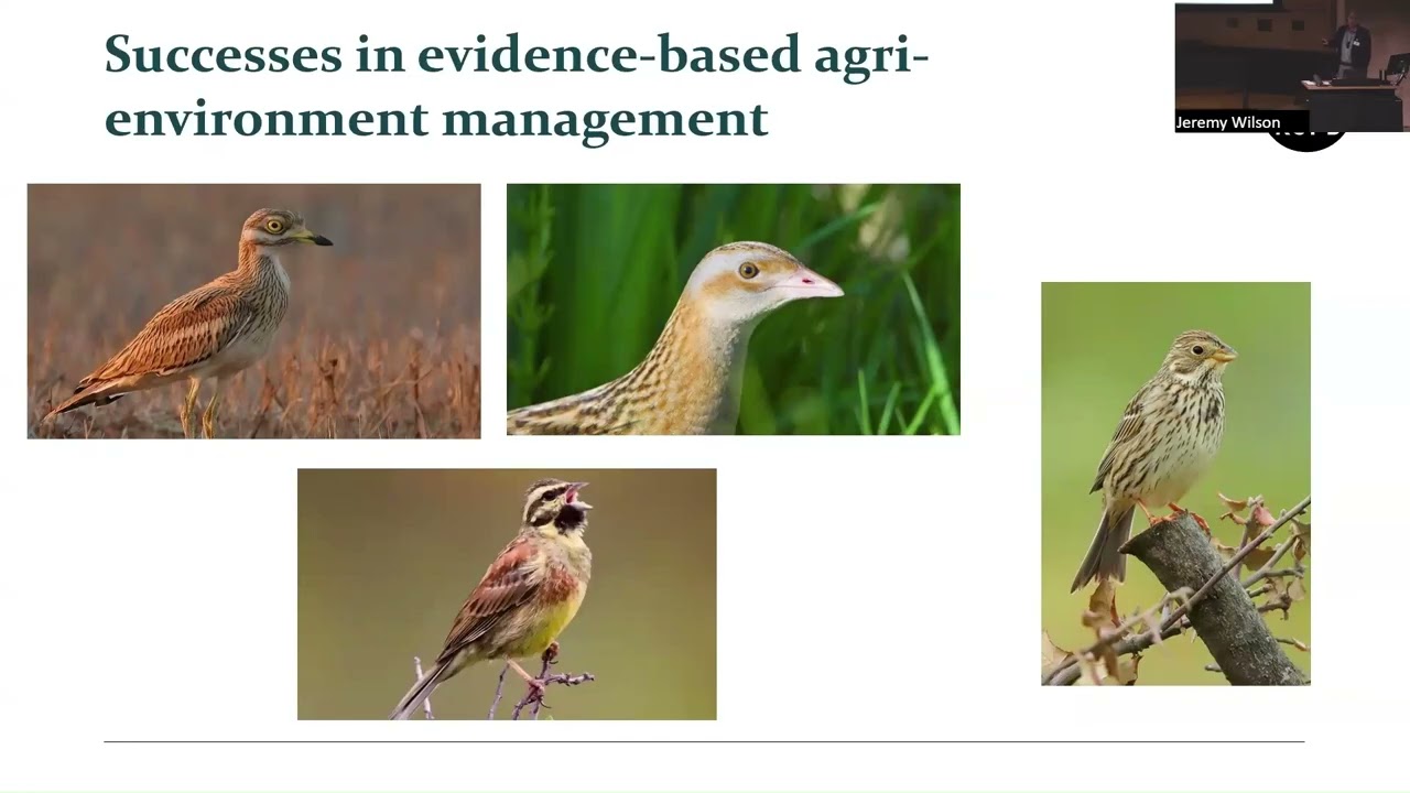 10. Jeremy Wilson – RSPB: How RSPB builds on evidence