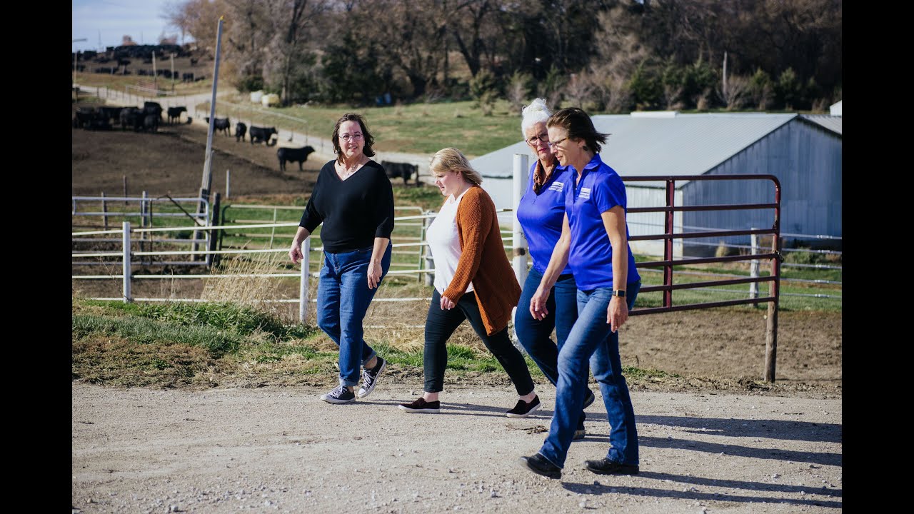 Hormones, Antibiotics and Grass vs. Grain Fed - Facts, Not Fear