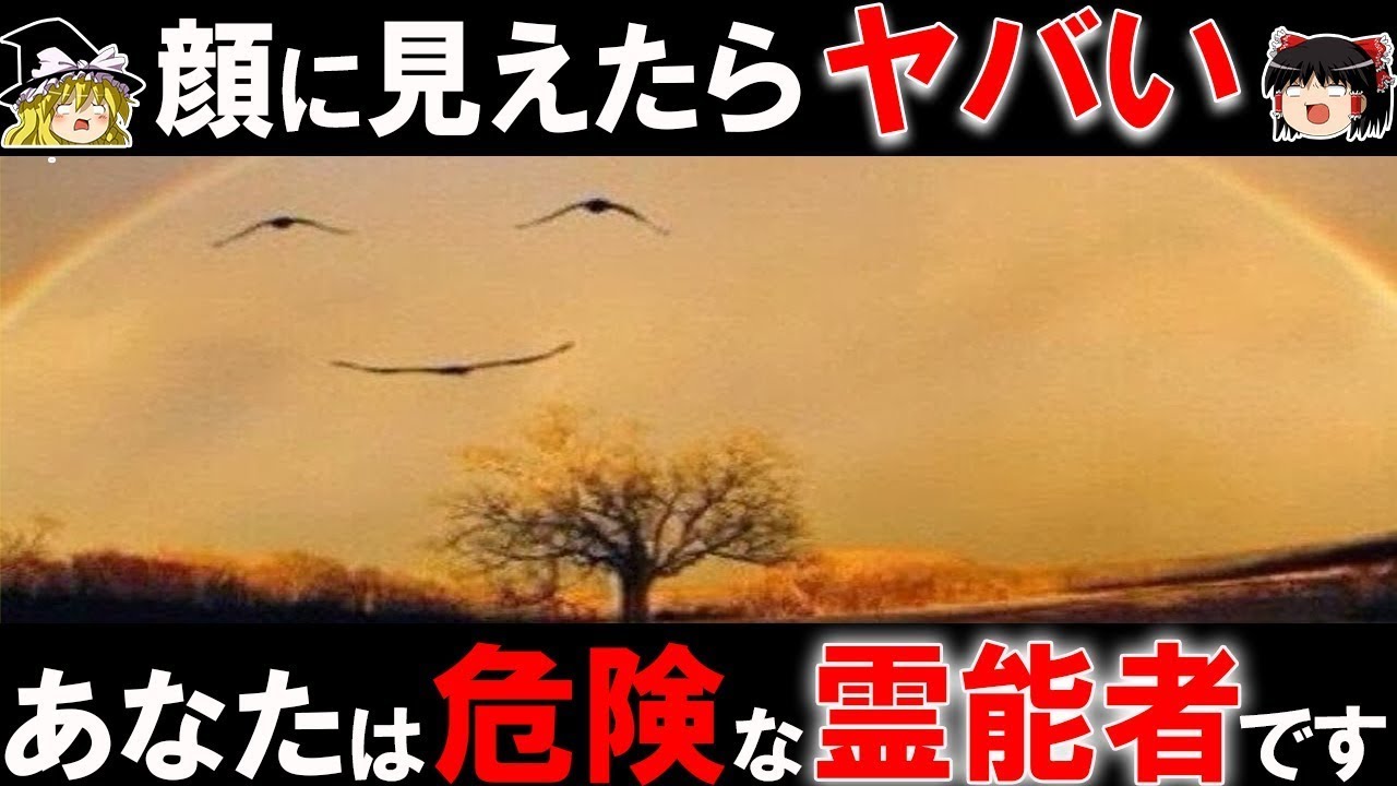 「総集編」顔に見えたらヤバい！？霊能力を診断する錯視クイズ【ゆっくり解説】